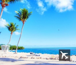 Vuelo directo Córdoba/Miami/Córdoba desde 18 cuotas de $740